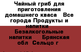 Чайный гриб для приготовления домашнего кваса - Все города Продукты и напитки » Безалкогольные напитки   . Брянская обл.,Сельцо г.